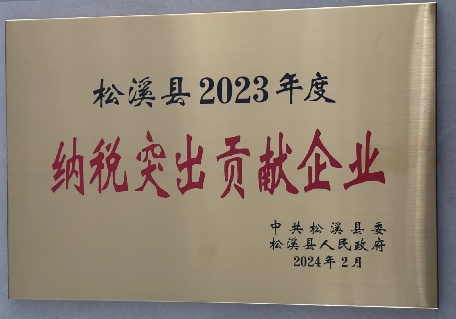 喜報！易順建工集團榮獲“松溪縣2023年度納稅突出貢獻企業(yè)”稱號